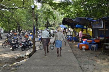 Fish Market Auction, Cochin_DSC6055_H600